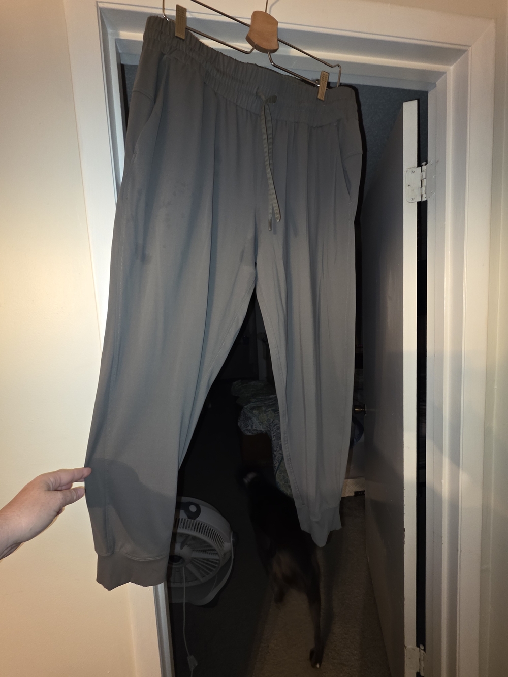 Olive Drawstring Jogger Pants